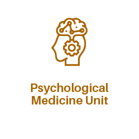 Psychological Medicine Unit